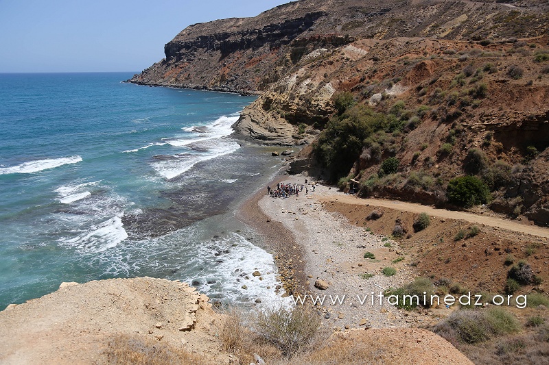 Jeunes scout de Tounane (souahlia)