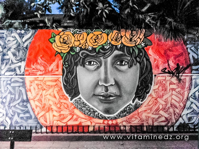 Peintures au square sofia Alger ... très jolies