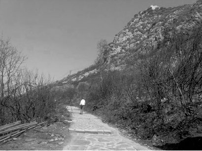 Parc national de Gouraya (Béjaïa):  L’après-incendie à l’ordre du jour