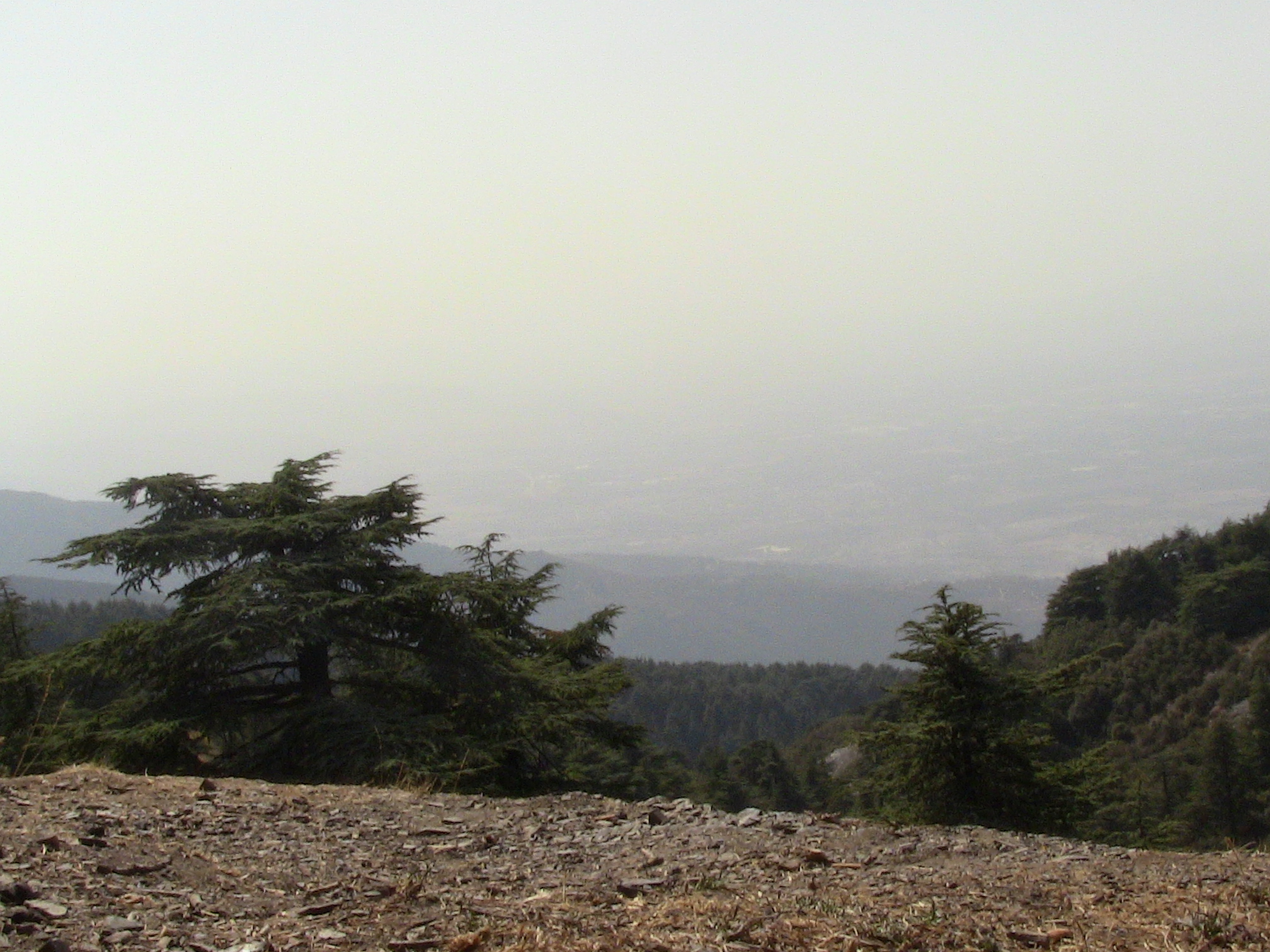 Parc National De Chrea