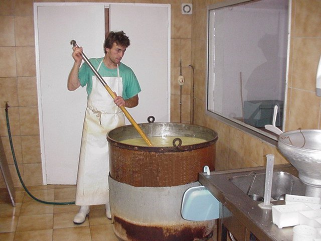 Industrie de transformation dans le secteur agricole à Souk ahras:  Une trentaine de futurs fromagers en formation
