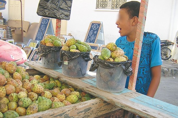 SOUK AHRAS -  La figue de Barbarie inonde les espaces commerciaux