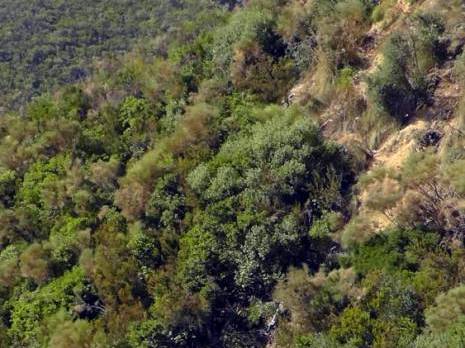 Skikda -  Neuf morts et 28 blessés dans un accident de la circulation