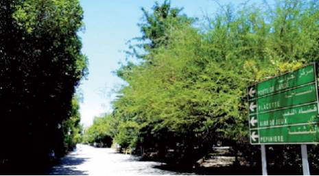 Sa  gestion retirée à la municipalité de Biskra:  Pétition pour la sauvegarde de J’nene Beylek