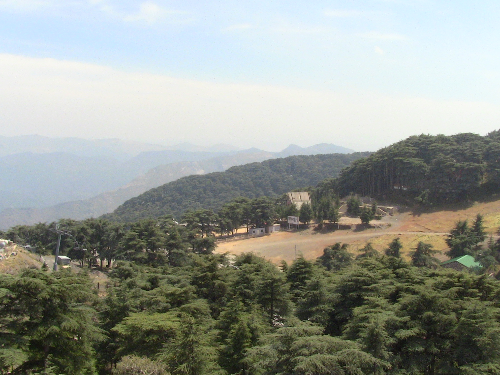 parc national de Chréa