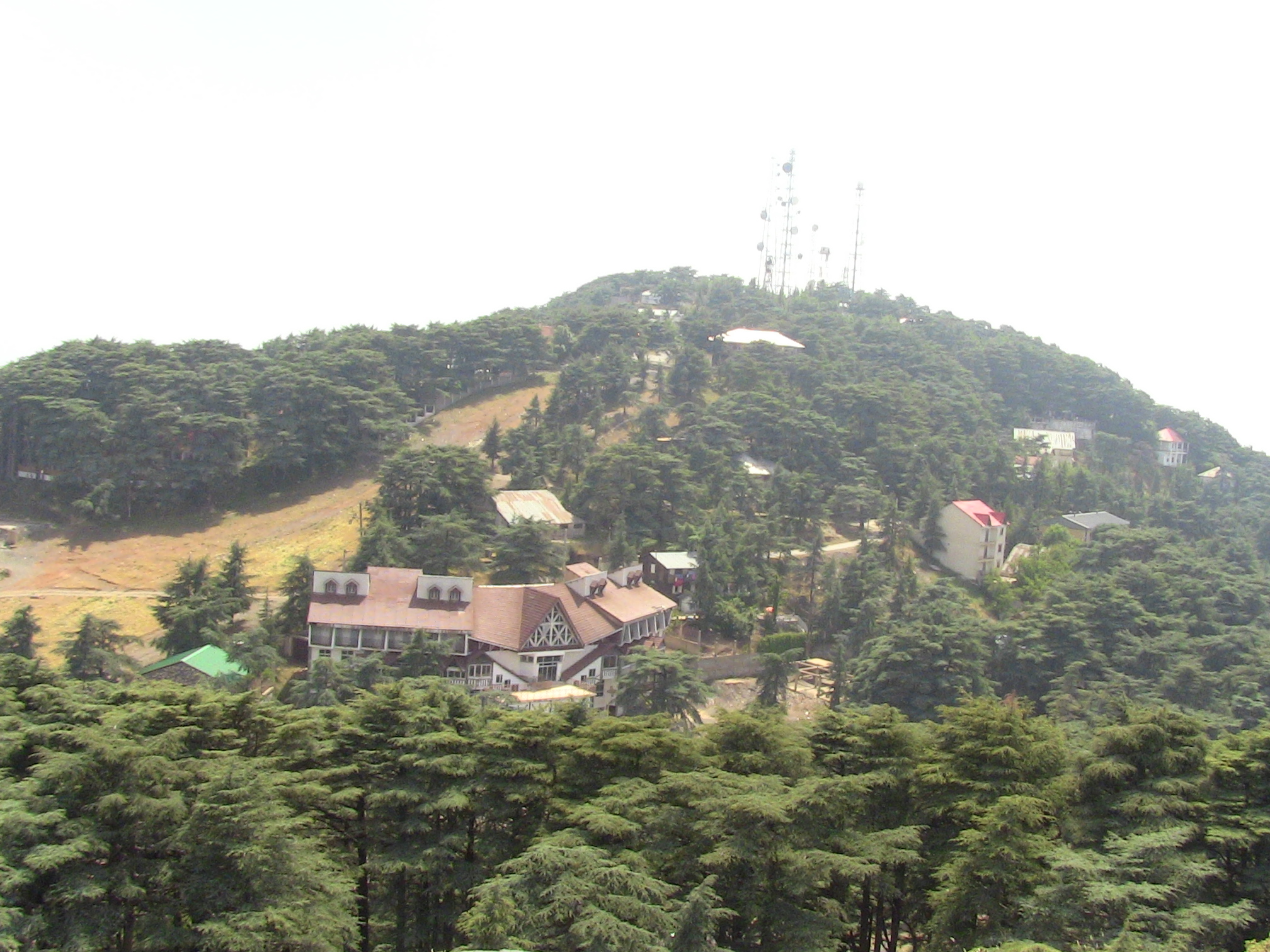 parc national de Chréa