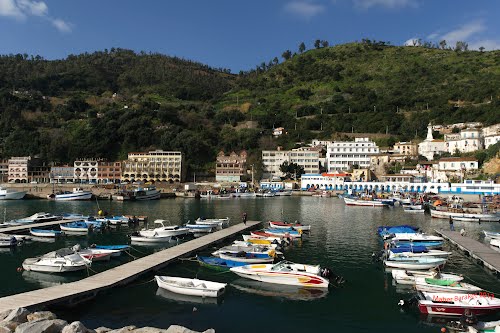 Association Rusicade de Skikda:  Les jeunes photographes investissent le port de Stora