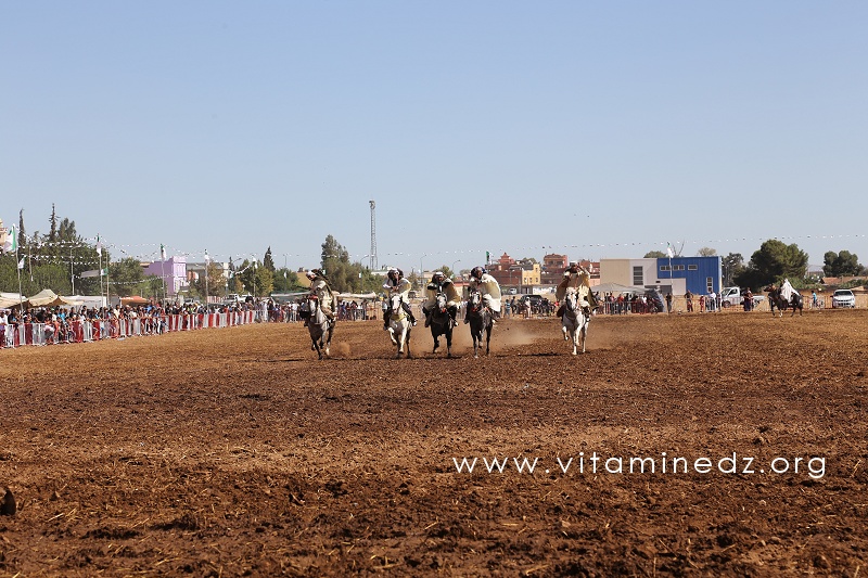 Fantasia - Waada de Sidi Lahcene (W. Sidi Bel Abbes)