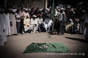 Tlemcen - Les Ouled Nhar célèbre le Mawsim Sidi Yahia Bensfia
