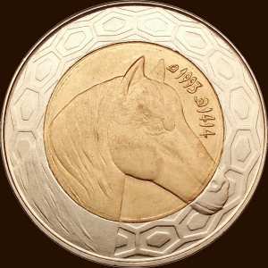 مائة دينار 1993 - ظهر -