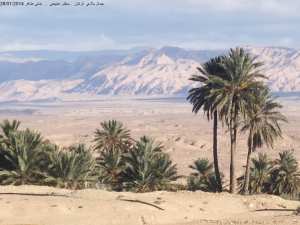 غابات  فركان