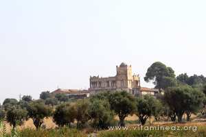 Ferme coloniale, coté Sidi Ben adda (3 marabouts)