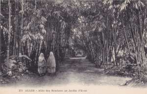 صورة قديمة لحديقة الحامة ممشى قصب البامبو