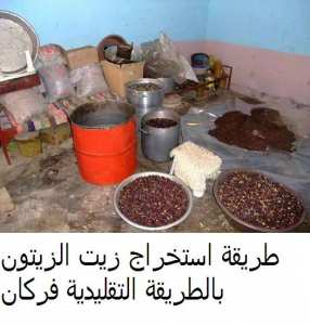 استخراج  زيت  الزيتون  بالطرقة  التقليدية ....( زيت  فركان )