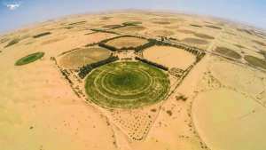 Cultivateur en plein désert