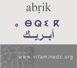 الجذور الأمازيغية في لهجة منطقة الغزوات و ضواحيها - أَبـريـك –