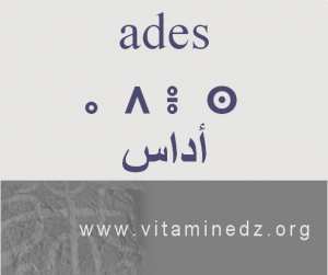 الجذور الأمازيغية في لهجة منطقة الغزوات و ضواحيها - أَداس –