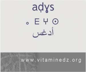 الجذور الأمازيغية في لهجة منطقة الغزوات و ضواحيها - أَدغس –