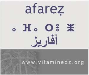 الجذور الأمازيغية في لهجة منطقة الغزوات و ضواحيها - أَفاريز –
