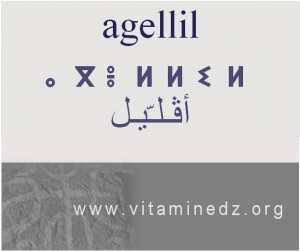 الجذور الأمازيغية في لهجة منطقة الغزوات و ضواحيها - أَڨّليل أو الڨّليل –