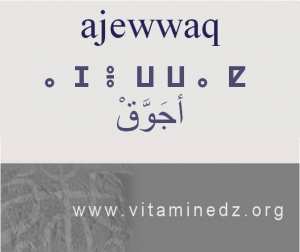 الجذور الأمازيغية في لهجة منطقة الغزوات و ضواحيها - أَجــوَّق –