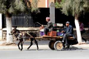 Marchand de légumes ambulant à Sidi Bel Abbes
