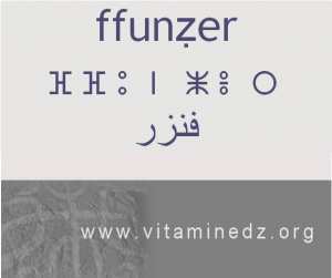 الجذور الأمازيغية في لهجة منطقة الغزوات و ضواحيها - أَفنزر –