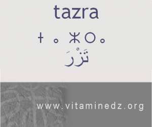 الجذور الأمازيغية في لهجة منطقة الغزوات و ضواحيها - تَزْرَ –