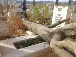 Cimetière de Maghnia:  La tombe de Mohamed Khemisti abandonnée