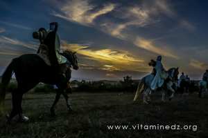 Tlemcen - Cavaliers de Ain Témouchent à la Waada et Fantasia au village de Gherota (Commune El Fehoul)