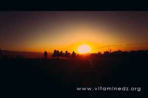 Waada et Fantasia au village de Chleida (Tlemcen - Commune Amieurl)