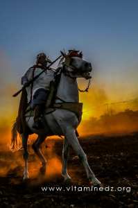 Cavalier à la Waada et Fantasia au village de Chleida (Tlemcen - Commune Amieurl)