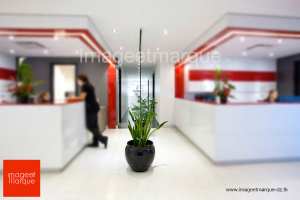 Espace Entreprise - Plantes et Jardins Algérie - imageetmarque