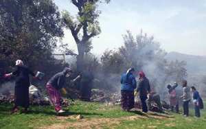 Les bonnes habitudes