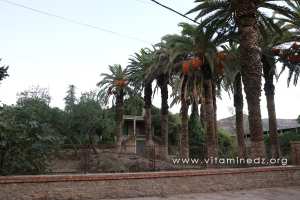 Villa coloniale à Mansourah