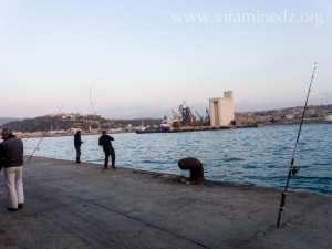 هواية الصيد بالغزوات – تلمسان