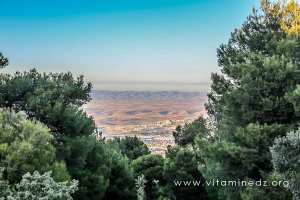 Foret de Tlemcen, vue sur les plaines de Saf Saf