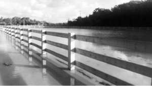 Club hippique de Annaba:  Une structure au cœur de vives convoitises