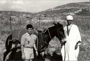 sgt-brunet-route-arris-batna-controle-rout