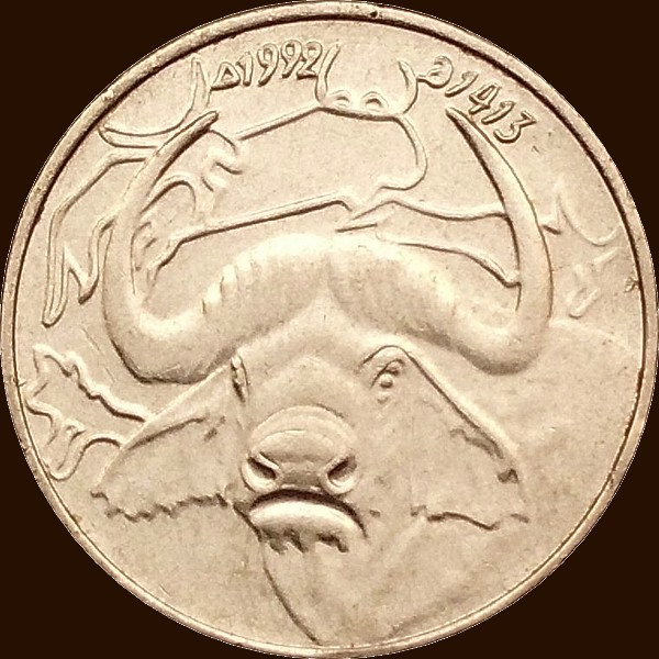 واحد دينار 1992 صنف أ - ظهر -