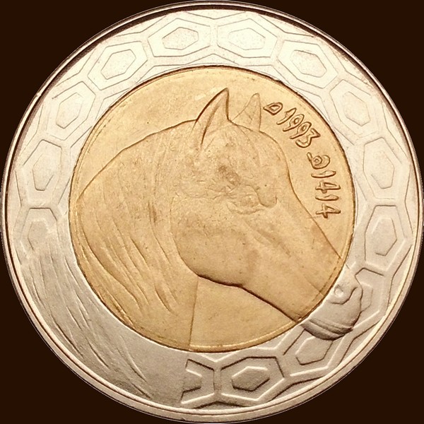 مائة دينار 1993 - ظهر -