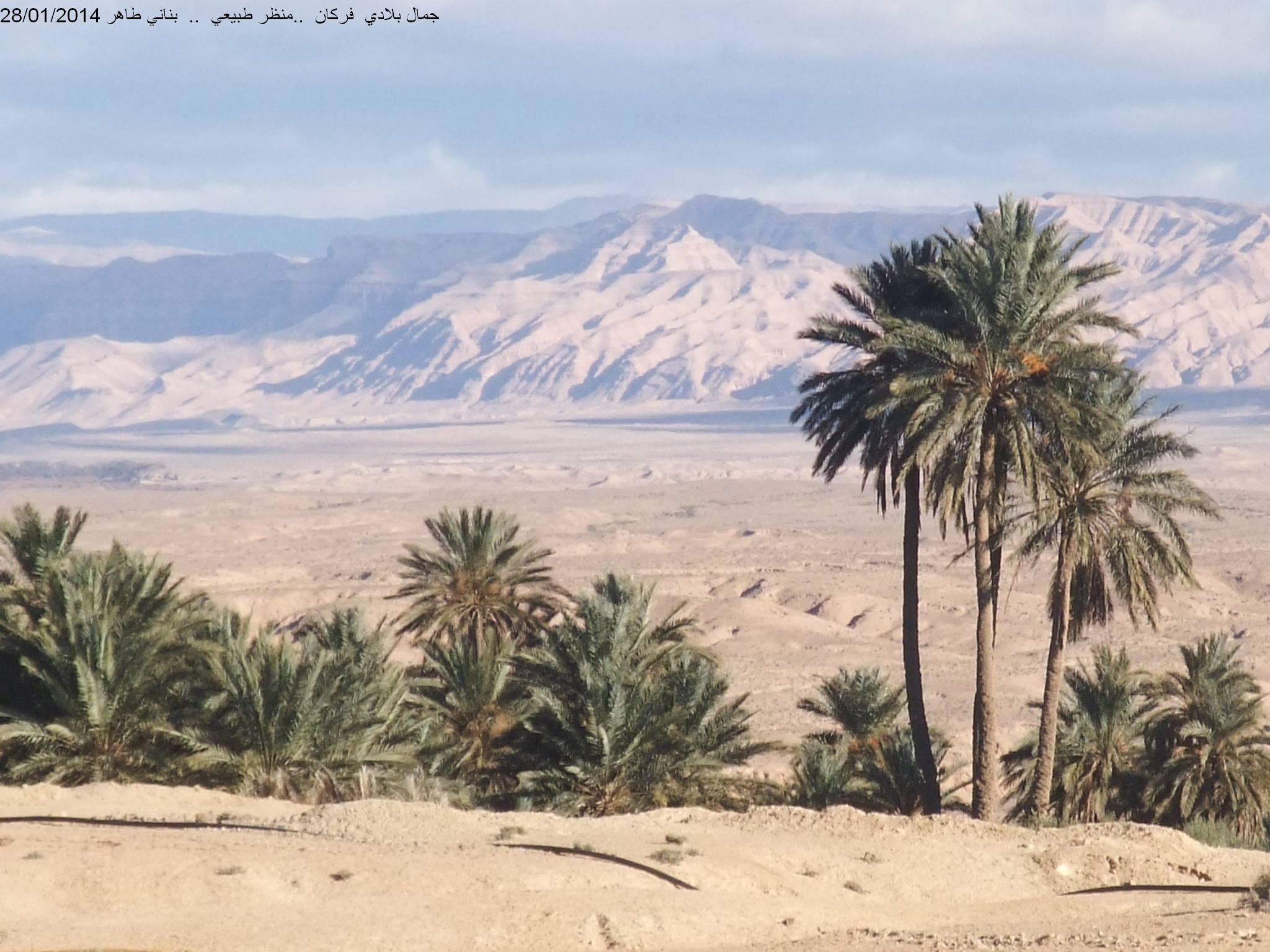 غابات  فركان