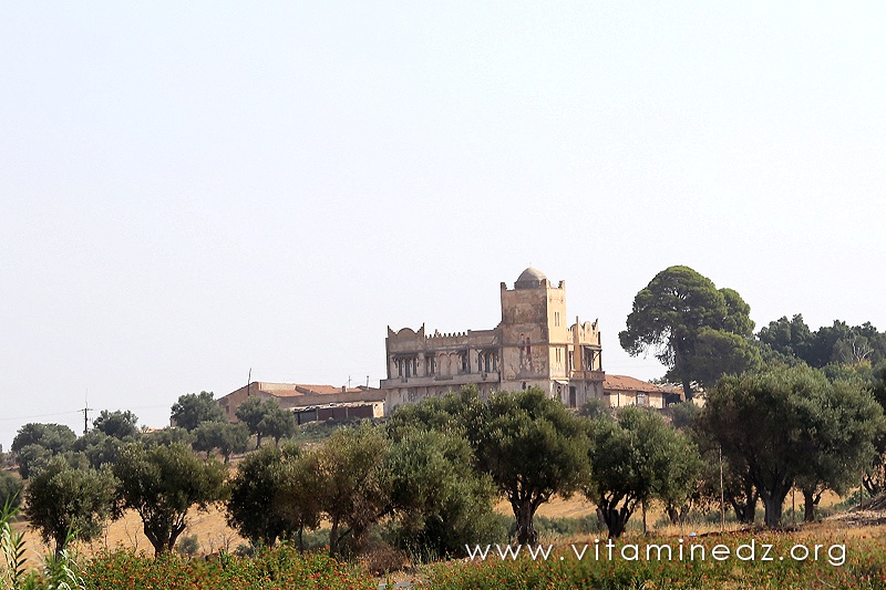 Ferme coloniale, coté Sidi Ben adda (3 marabouts)