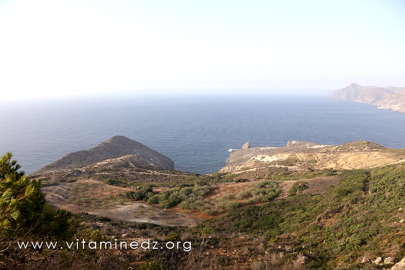Bouzedjar, la plage secrète