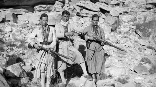 La guerre d'Algérie:  quand les Algériens redécouvrent leur histoire