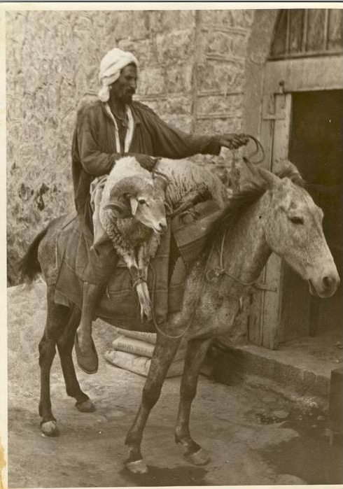 قسنطينة .التحضير لعيد الاضحى