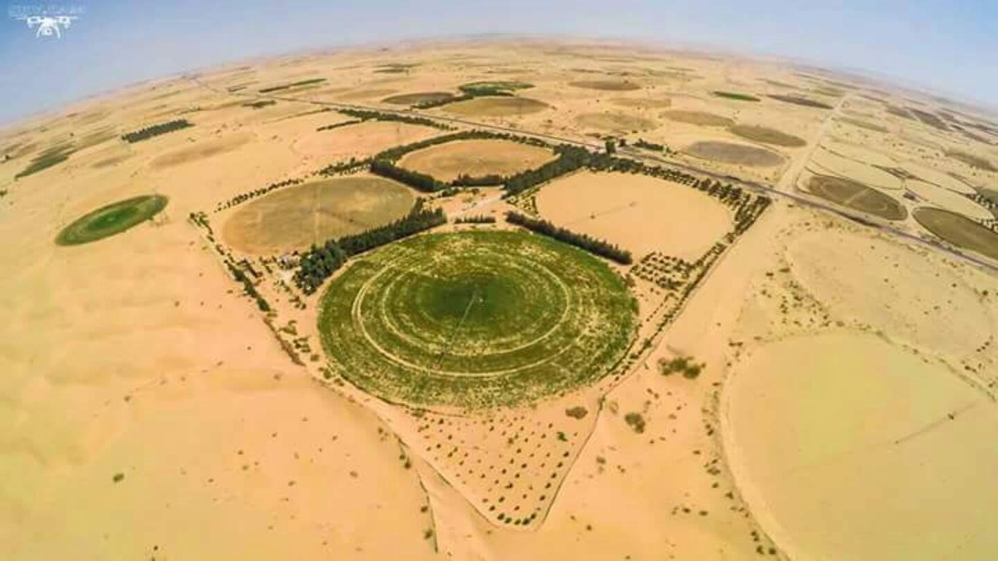 Cultivateur en plein désert