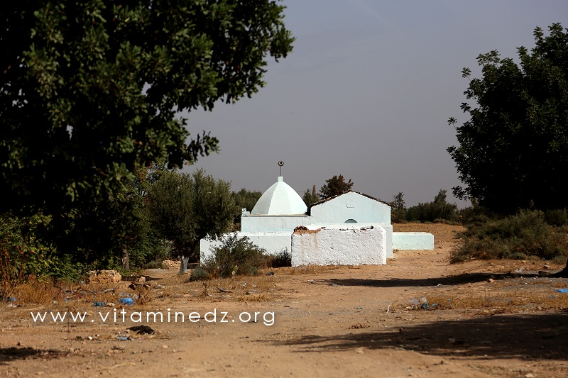 Darih de Sidi Khaled et Sidi Abed, les saints de la localité de Sidi Khaled (Ex-Palissy)