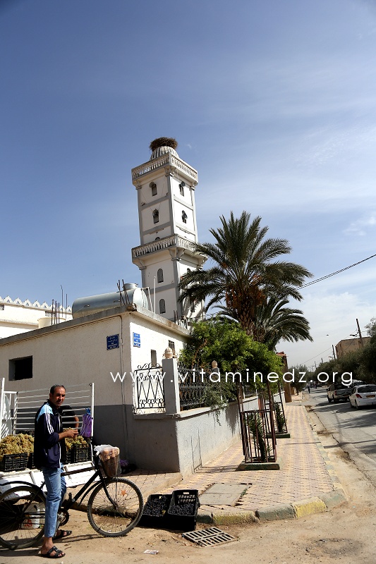 SBA - Mosquée de Sidi Khaled (Ex-Palissy)