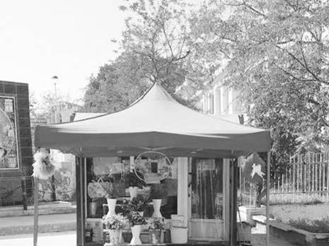 Mostaganem - Portrait Mohamed Belhor, un fleuriste qui égaie la ville des mimosas